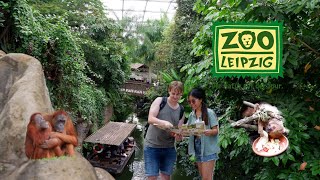 เที่ยวสวนสัตว์ [Zoo Leipzig] | ทริปวันเดียวก็เฟี้ยวได้