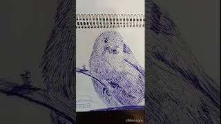 Рисунок  ручкой ополовника (длиннохвостой синицы)