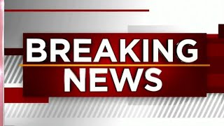 Carjacking suspect fleeing deputies shot 2 K-9s in Volusia County, officials say