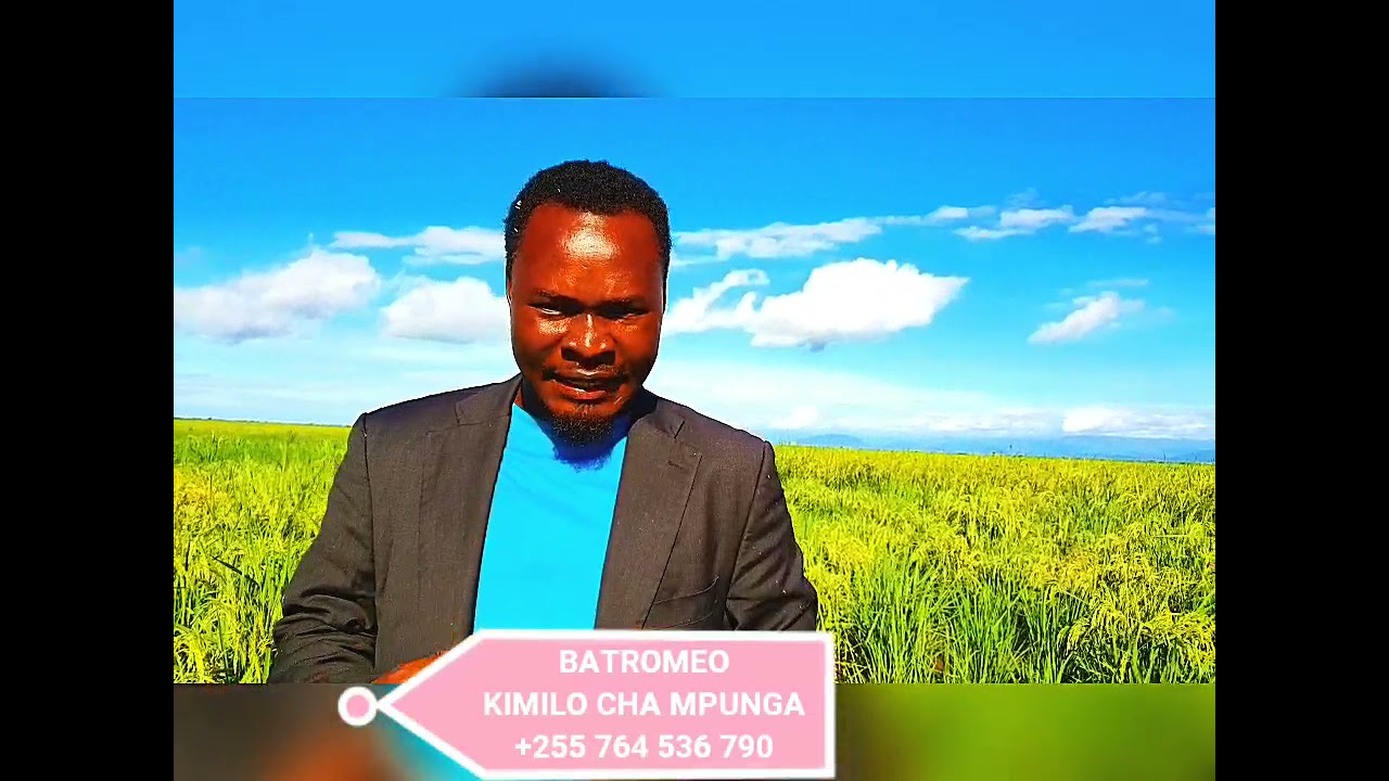 JINSI MPUNGA ULIVYOKUWA