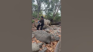 #short Big Anaconda Snake on Video 1 🐍 #snake #shorts #anaconda #python