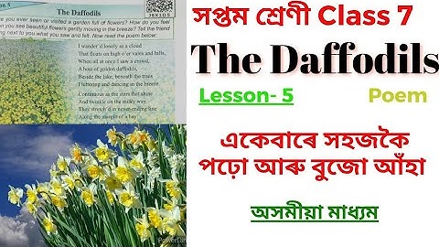 The Daffodils Class 7 Assamese Medium. The Daffodils Class 7 English Lesson 5 in Assamese.