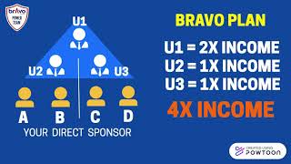 BRAVO BUSINESS PLAN