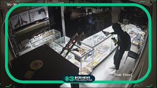 Surveillance video of Pa. gun store burglary