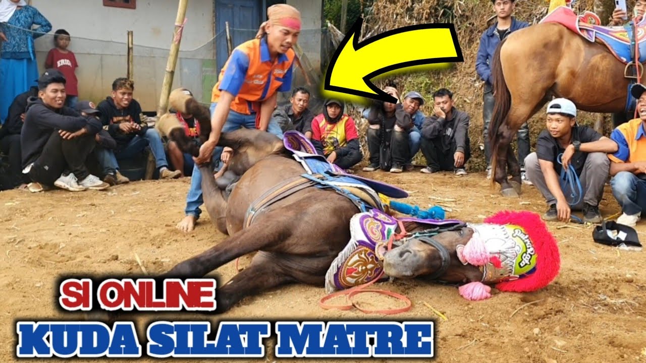 Kuda renggong - Atraksi kuda silat mata duitan