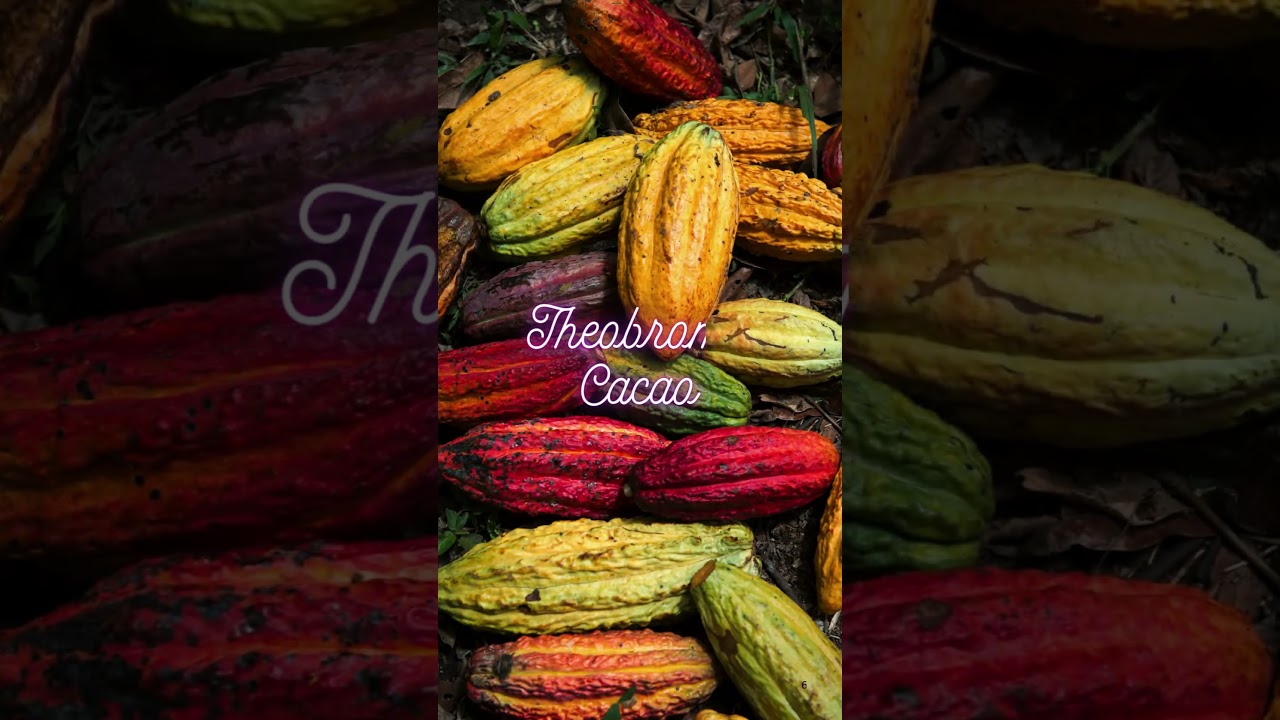 MITOLYN: 6 Natural Ingredients to Burn Fat! #shorts