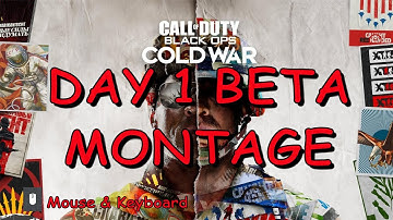PC Cold War Beta Day 1 Frag Montage