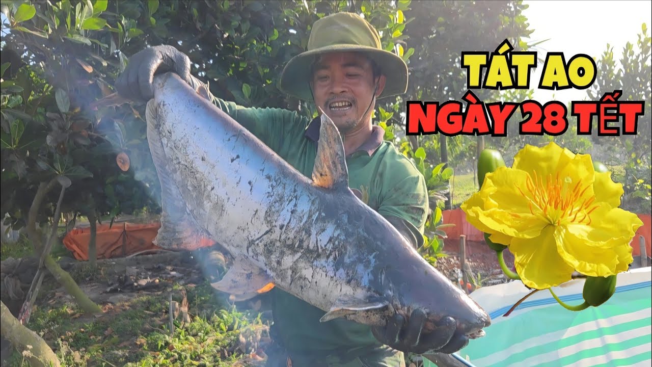 Những Ngày Cuối Năm, Ốc Nhỏ Miền Tây Phụ Bác Năm Tát Ao Bắ.t Cá Chuẩn Bị Ăn Tết...| ONMT #Tập 200