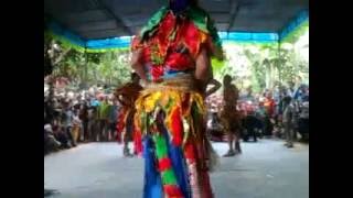 RAMPAK BUTO GEDRUG