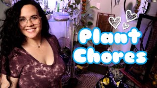 PLANT CHORES - Chopping up my Scindapsus Exotica - Lets do some plant chores together!
#houseplants #plantchores
Hey! Today Im going to be doing a bunch of different plant chores. π I hope you guys enjoy this video!πΏ
Thank you so much for watching! π
If you like this episode, then be sure to like and SUBSCRIBE to this channel also hit that little bell π You are the best! π
My Second Channel: https://youtube.com/channel/UCg4wexriZMoNd68inulCZFg
Instagram: https://www.instagram.com/peanutsplants/
For Business Inquires: peanutsplants@gmail.com
My Etsy Shop: https://www.etsy.com/shop/PeanutsPlants?ref=seller-platform-mcnav PLANT CHORES - Chopping up my Scindapsus Exotica - Lets do some plant chores together!