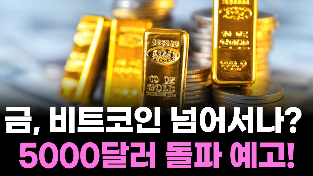 금값 폭발! 5000달러 돌파 예고, 이제 금이 대세다!