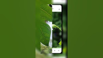 Snapseed app sa editing tricks video | And photography tricks | #shorts |  #snapseed |#souravmallick