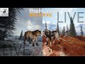 413 KILLS INTO THE WOLF GRIND! 16 DIAMONDS! LETS GET HIM TODAY! |The Hunter Call of the Wild
