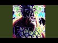 ORANGUTINI ANANASINI FUNK ORANGUTINI ANANASINI FUNK