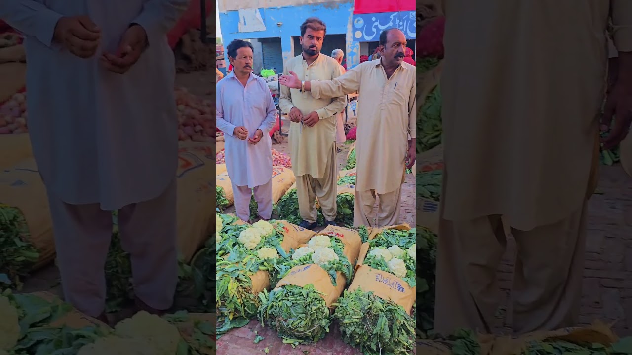 Saif amin and company #saifameen #virralshorts #2millionviews #update #world