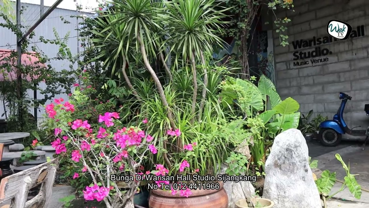 bunga di warisan