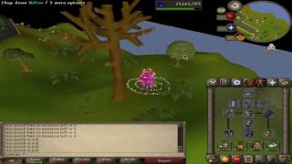 Nat runecrafting with fairy rings