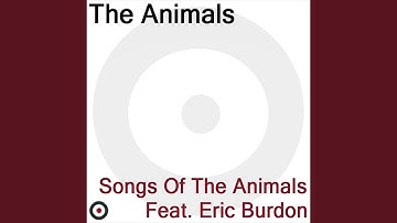 Thumbnail of Don't Bring Me Down