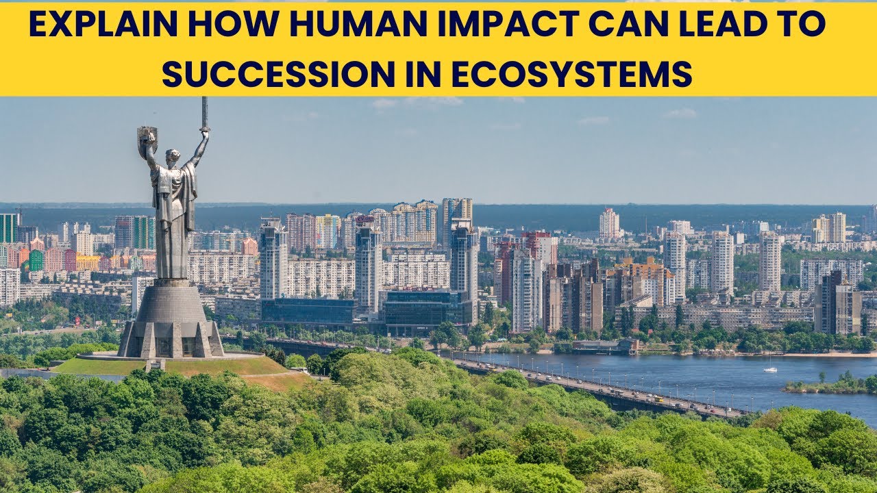 Explain how human impact can lead to succession in ecosystems