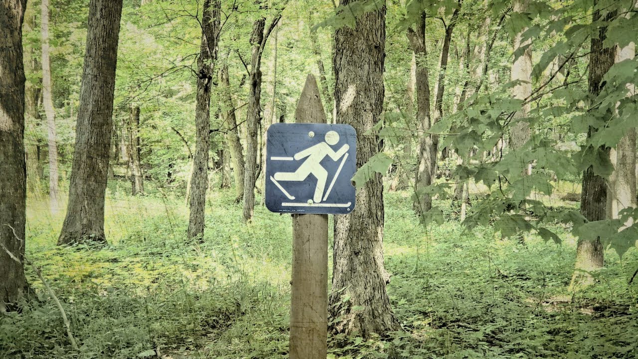 Rice Lake with a Special Guest