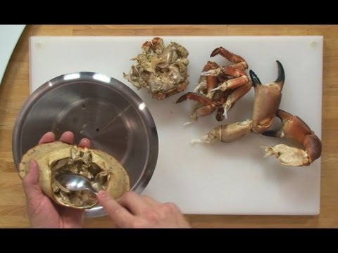 Décortiquer un crabe
