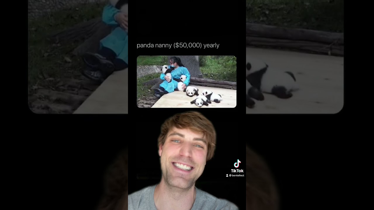 Fun Jobs That Pay Well 