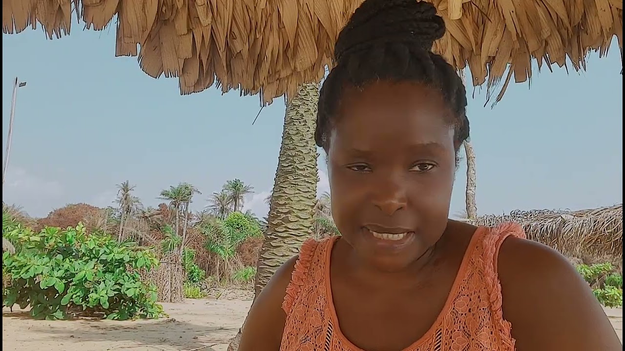 Africans moving back to USA after moving to Nigeria, Ghana, Kenya, Liberia: 