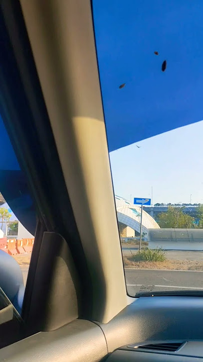 bandara Kulonprogo #viral #storywa #shots #shortvideo #indah #subscribe #shorts