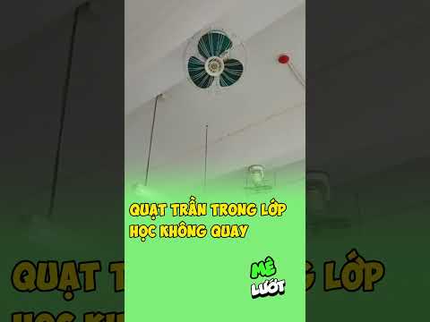 Quạt trần trong