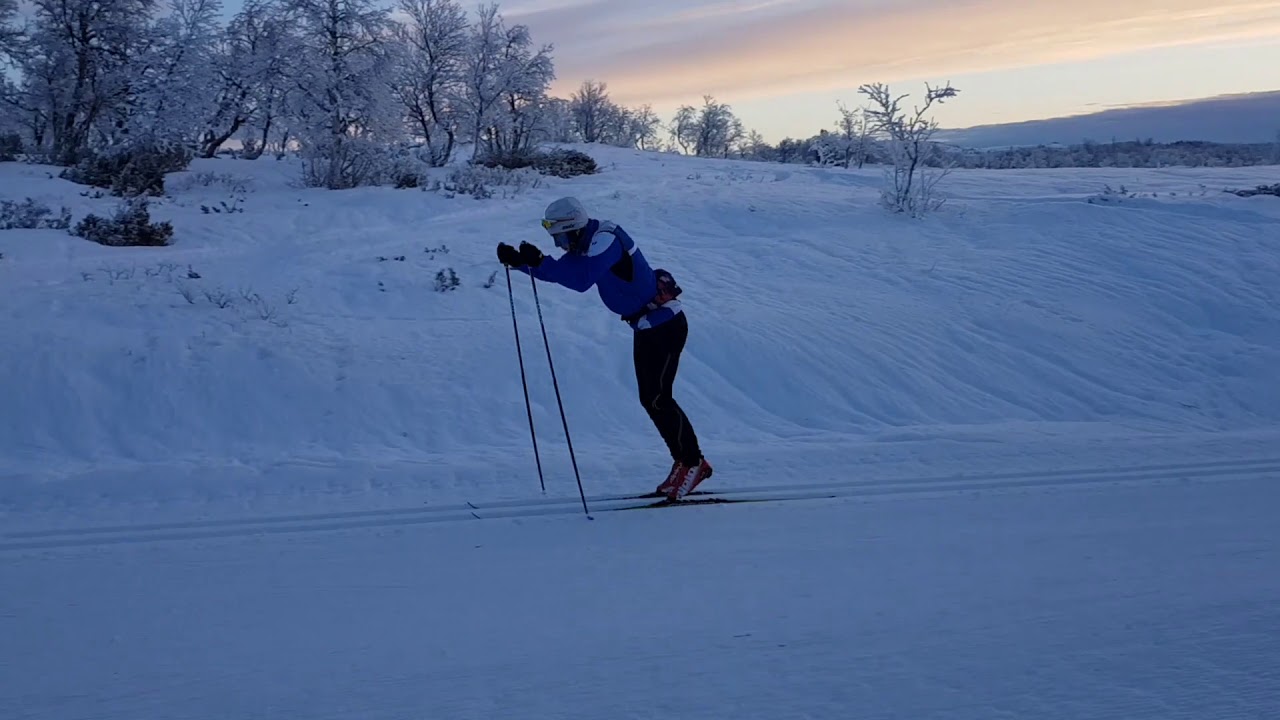 Teknikkanalyse av Staking, Langrenn