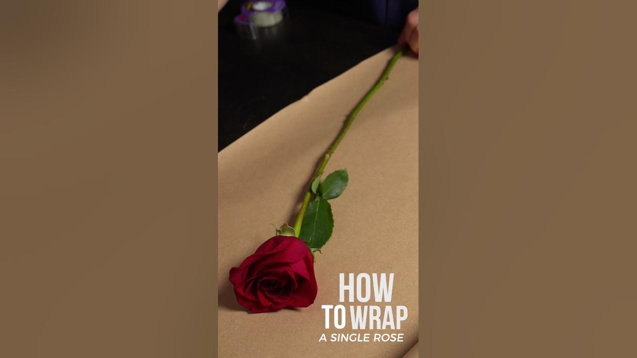 how to wrap a single rose in paper - Google 搜索  Diy bridesmaid gifts, How  to wrap flowers, Diy flowers