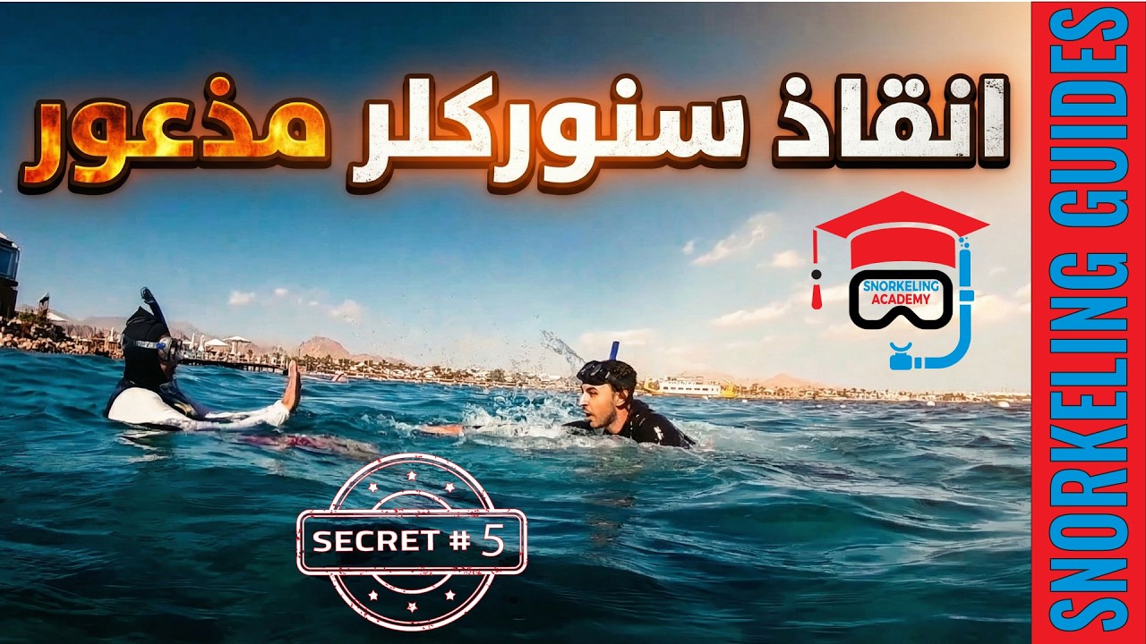 انقاذ سنوركلر مذعور