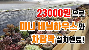 55%차광막 해가 얼마나 들어 올까요~23000원으로 미니비닐하우스와 차광막설치 했어요