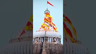 Jagannath Puri Flag changing retual #jagannathtemple #jagarnathabhaktibhajan #hindugod