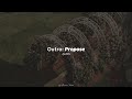 Outro Propose BTS English Lyric Video mp3