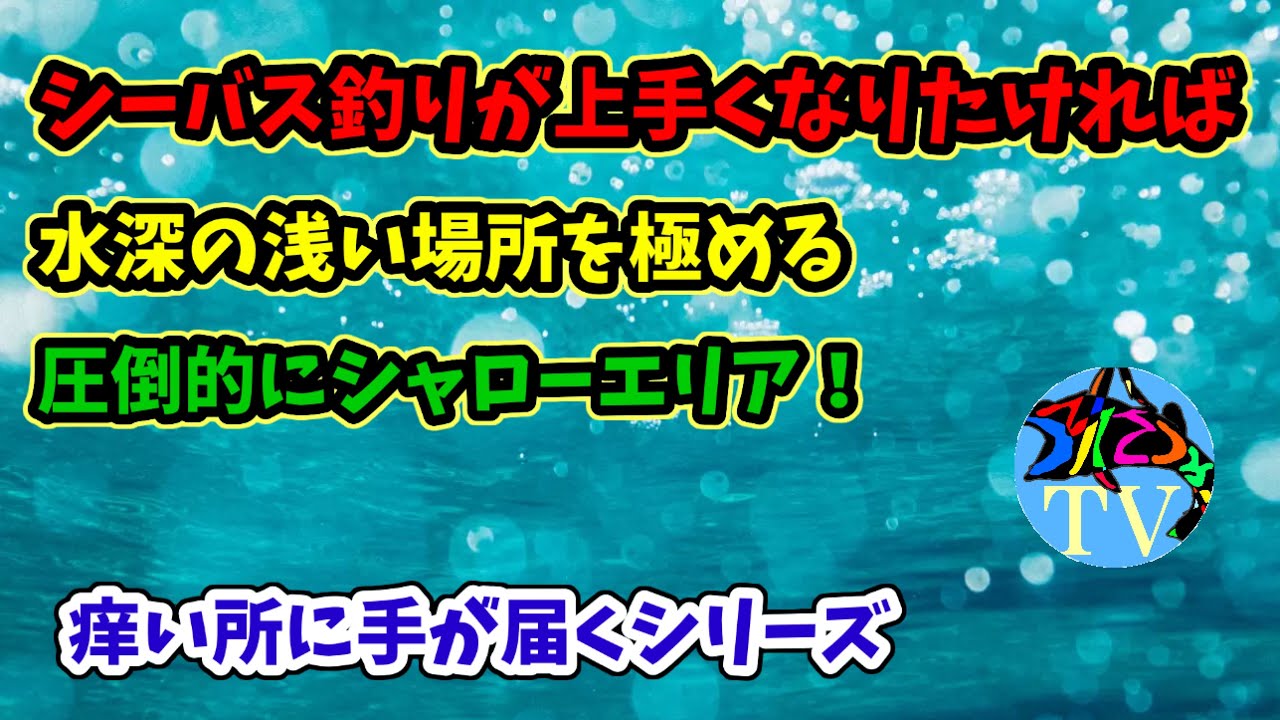 シーバス釣りが上手くなるにはシャロー攻略が絶対条件 初心者 中級者必見 痒い所に手が届くシリーズ Youtube