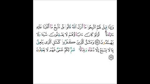 القارئ ماجد الزامل - سورة البقرة - من الآية 170 إلى الآية 171