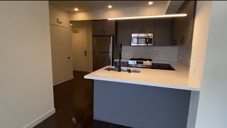 #509 1x1