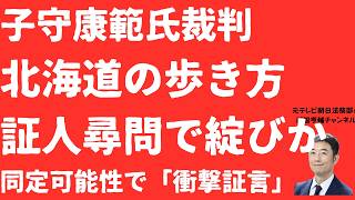 【急展開】「北海道の歩き方」証人尋問で綻び続出か！子守康範氏刑事裁判で「賛否両論」証言の不条理と「同定可能性」消極証言で検察側に暗雲か！【LIVE】朝刊全部5月26日