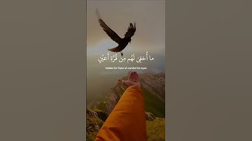 القارئ إسلام صبحي| فَلا تَعْلَمُ نَفْسٌ مَا أُخْفِيَ لَهُمْ مِنْ قُرَّةِ أَعْيُن|#quran #القرآن🤍✨