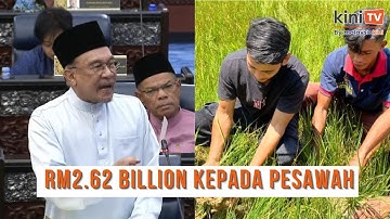 Kerajaan peruntukan RM2.62 bilion pelbagai subsidi dan bantuan kepada pesawah