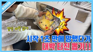 1초만에 망한 뽑기 살리는 방법!! 예상 밖의 핵이득으로 대박 터진 뽑기ㅋㅋㅋ (고니두욘몬 20240327) #2609