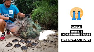 Ghost Nets are a NIGHTMARE for marine life