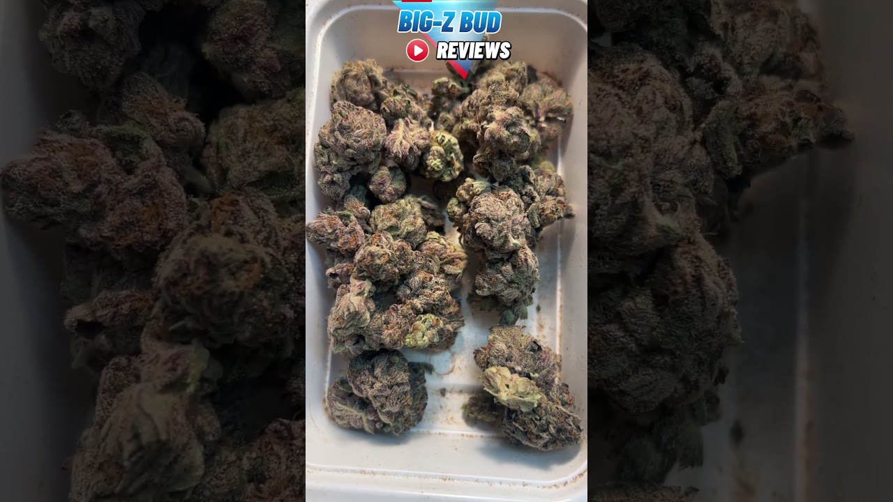 Modified Grapes - by BONUS BUD 31% THC  smokes nice but no heavy stone