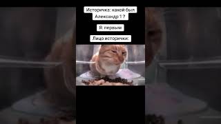 Кот Смотрит В Камеру #Кот