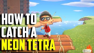 How to Catch a Neon Tetra | Neon Tetra ACNH | Animal Crossing New Horizons Neon Tetra | Neon Tetra
