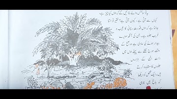 class 9 chapter 4 revised Auos Khuwaja Hasan Nizami jaan pehchan ncert cbse urdu ncert cbse