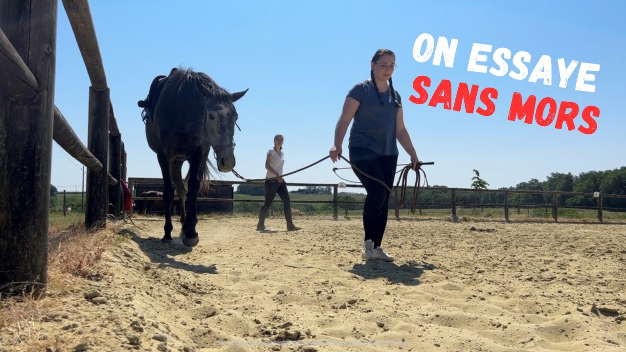 ON REPREND LES BASES - MONTE SANS MORS -