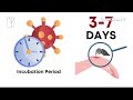 Chikungunya Virus: What you need to know as mosquito-borne disease spreads globally