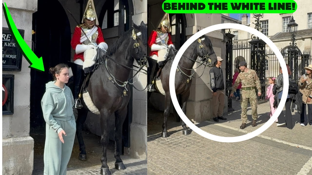 😳DISRESPECTFUL Tourists Put in Place by Lady King’s Guard